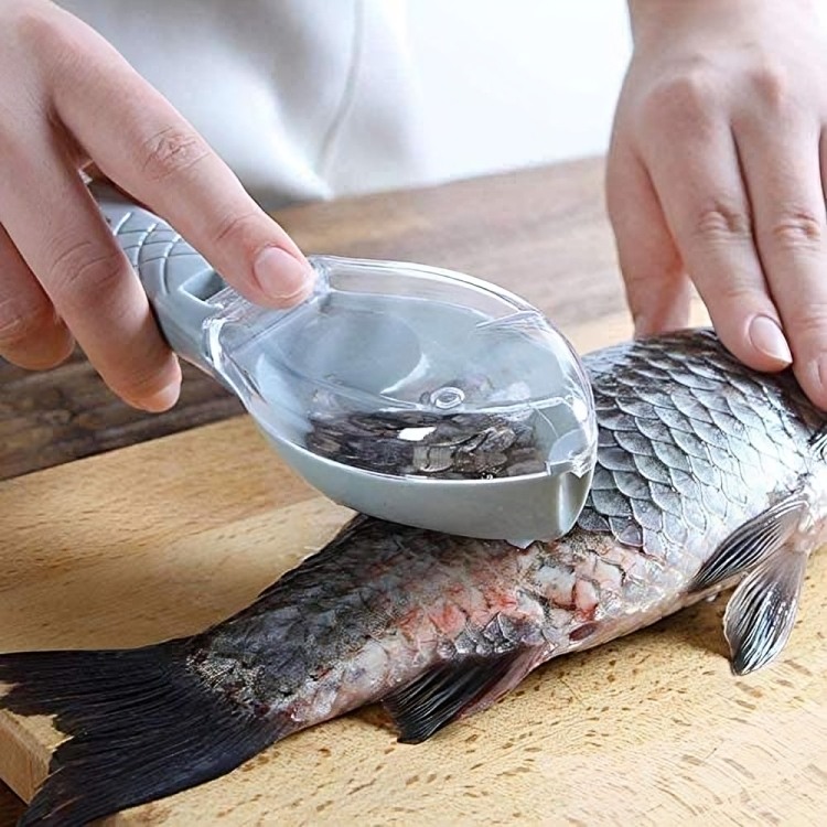 🐟মাছের আঁশ ছাড়াতে🎣Fish Scale Remover with Knife